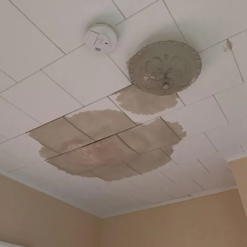 Ceiling Water Damage Repair in North Versailles, PA