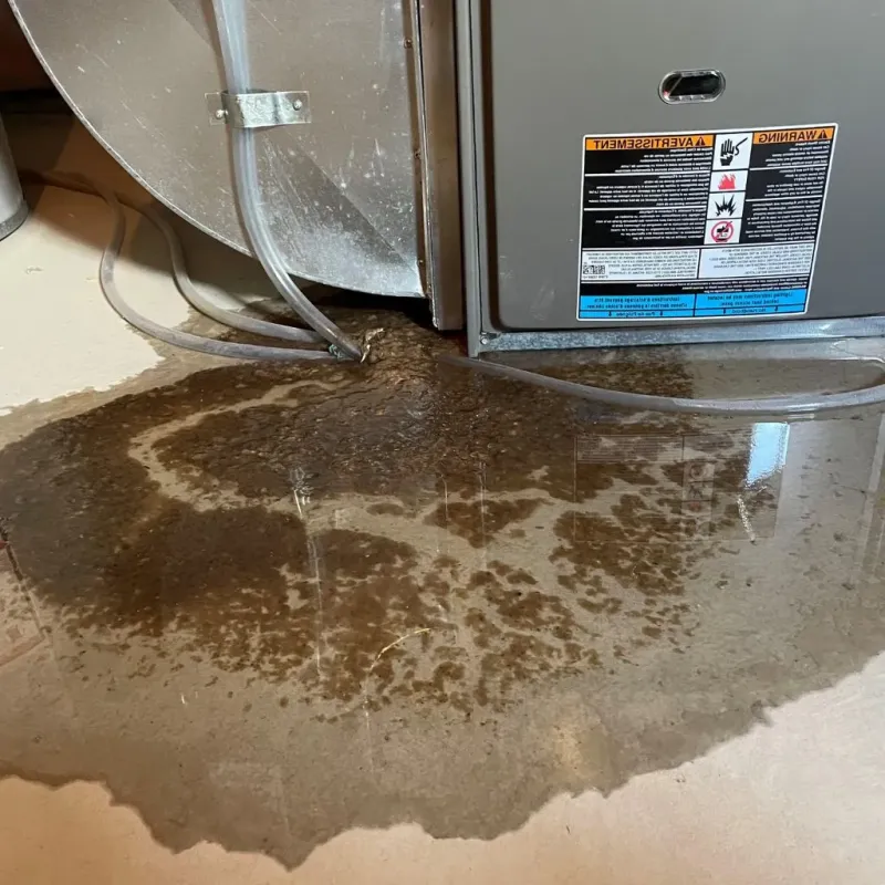 Pipe Burst and Leak Restoration in North Versailles, PA
