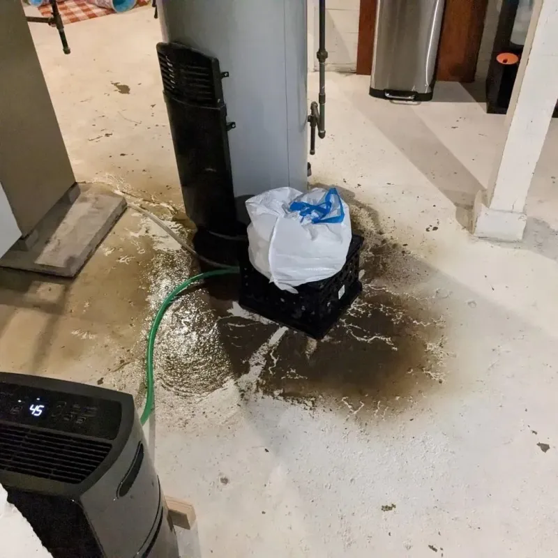 Sewage Backup Cleanup Service in North Versailles, PA